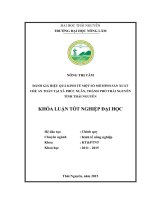 Đánh giá hiệu quả kinh tế một số mô hình sản xuất chè an toàn tại Xã Phúc Xuân  Thành phố Thái Nguyên  Tỉnh Thái Nguyên (Khóa luận tốt nghiệp)