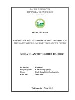 Nghiên cứu các nhân tố ảnh hưởng đến phát triển kinh tế hộ trên địa bàn xã Hương Cần  huyện Thanh Sơn  Tỉnh Phú Thọ (Khóa luận tốt nghiệp)