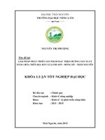 Giải pháp phát triển sản phẩm rau theo hướng sản xuất hàng hóa trên địa bàn xã Linh Sơn  Đồng Hỷ  Thái nguyên (Khóa luận tốt nghiệp)