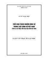 Tuổi chịu trách nhiệm hình sự trong luật hình sự việt nam (trên cơ sở thực tiễn địa bàn tỉnh hà tĩnh) 