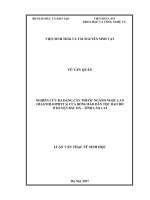 Nghiên cứu đa dạng cây thuốc ngành ngọc lan (magnoliophyta) của đồng bào dân tộc Dao đỏ ở huyện Bắc Hà  tỉnh Lào Cai (Luận văn thạc sĩ)