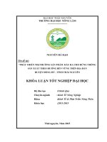 Phát triển thị trường sản phẩm đầu ra cho rừng trồng sản xuất theo hướng bền vững trên địa bàn huyện Đồng Hỷ  tỉnh Thái Nguyên (Khóa luận tốt nghiệp)