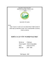 Thực trạng và đề xuất giải pháp phát triển kinh tế nông hộ tại phường Ngọc Xuân  thành phố Cao Bằng  tỉnh Cao Bằng (Khóa luận tốt nghiệp)