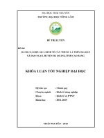 Đánh giá hiệu quả kinh tế của cây thuốc lá trong cơ cấu cây trồng tại địa bàn xã Đào Ngạn  huyện Hà Quảng  tỉnh Cao Bằng (Khóa luận tốt nghiệp)