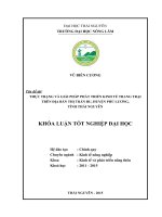 Thực trạng và giải pháp phát triển kinh tế trang trại trên địa bàn thị trấn Đu  Huyện Phú Lương  Tỉnh Thái Nguyên (Khóa luận tốt nghiệp)