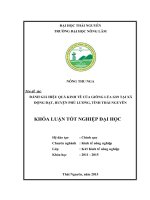 Đánh giá hiệu quả kinh tế của giống lúa GS9 tại xã Động Đạt  huyện Phú Lương  tỉnh Thái Nguyên (Khóa luận tốt nghiệp)