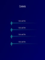 Mẫu slide đẹp (2) 