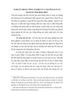 Mot vai nghi le Nong nghiep cua ng Dao Tua Chua