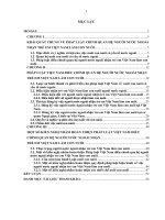 người nước ngoài nhận trẻ em việt nam làm con nuôi theo quy định của pháp luật việt nam