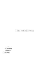 Cảng sài gòn nằm ở hữu ngạn sông sài gòn 