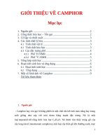 GIỚI THIỆU VỀ CAMPHOR nop