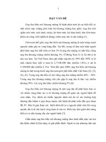 Nhận xét đặc điểm lâm sàng, mô bệnh học và tần suất xuất hiện p53 trong ung thư biểu mô khoang miệng 