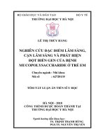Nghiên cứu đặc điểm lâm sàng, cận lâm sàng và phát hiện đột biến gen của bệnh Mucopolysaccharide ở trẻ em (Luận án tiến sĩ)