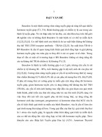 Nhận xét sự thay đổi nồng độ hormone tuyến giáp và TRAb ở bệnh nhân basedow mang thai 