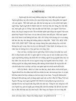 Tiểu luận tư tưởng hồ chí minh một số vấn đề nghiên cứu phong cách ngôn ngữ hồ chí minh