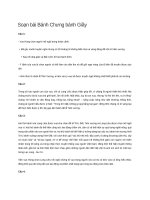 Soạn bài bánh chưng bánh giầy