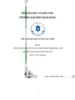 vấn đề bảo hộ đối với các ngành công nghiệp non trẻ tại việt nam trong thời gian qua 