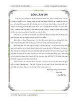 MỘT số GIẢI PHÁP NHẰM NÂNG CAO CHẤT LƯỢNG đội NGŨ HƯỚNG dẫn VIÊN DU LỊCH tại CÔNG TY VITOURS