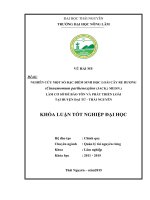 Nghiên cứu một số đặc điểm sinh học của loài cây Bách hợp và Hoàng tinh trắng làm cơ sở cho việc bảo tồn các loài thực vật quý hiếm tại khu bảo tồn thiên nhiên Phia Oắc – Phia Đén tỉnh Cao Bằng (Khóa luận tốt nghiệp)