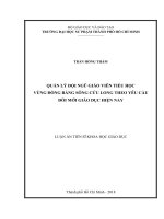 Quản lý đội ngũ GVTH vùng đồng bằng sông Cửu Long theo yêu cầu đổi mới giáo dục hiện nay (Luận án tiến sĩ)