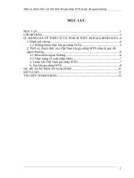 KTCT   tiểu luận cao học thời cơ, thách thức của việt nam khi gia nhập WTO từ góc độ ngoại thương