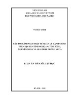 Các tội xâm phạm trật tự quản lý hành chính trên địa bàn tỉnh Nghệ An: Tình hình, nguyên nhân và giải pháp phòng ngừa (Luận án tiến sĩ)