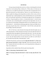 Lý luận hình thái kinh tế  xã hội và vận dụng trong quá trình kinh tế xã hội ở Việt Nam