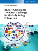 Reach compliance the great challenge for globally acting enterprises 