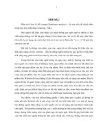 Hệ thống phân tích  thông tin phản hồi về sản phẩm của khách hàng trên website thương mại (tt)