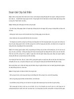 Soạn bài cây bút thần