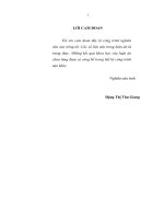 Tái cơ cấu công nghiệp Hà Nội theo hướng phát triển bền vững (Luận án tiến sĩ)