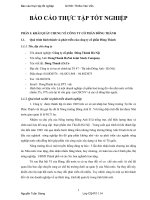BÁO cáo THỰC tập TN tại công ty cổ phần  đông thành hà nội