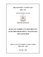 Bước đầu nghiên cứu đột biến gen EGFR trên bệnh nhân u nguyên bào thần kinh đệm 