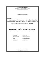 Theo dõi khả năng sinh trưởng và tình hình cảm nhiễm bệnh phân trắng lợn con giai đoạn từ 21 đến 60 ngày tuổi nuôi tại trại lợn CP – Hà Nội (Khóa luận tốt nghiệp)