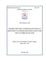 Tìm hiểu kiến thức về bệnh mạch vành của bệnh nhân có chỉ định chụp động mạch vành xét can thiệp mạch vành 