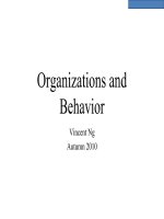 OB lecture 1  introduction   what is OB and what we  will be doing