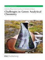 Challenges in green analytical chemistry 