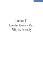 OB lecture 11  individual behavior   ability   anatomy of strengths