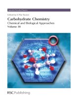 Carbohydrate chemistry volume 38 