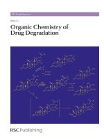Organic chemistry of drug degradation 