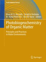 Photobiogeochemistry of organic matter principles and practices in water environments 