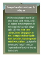 Lecture 6d   honey and mumford s on the kolb system