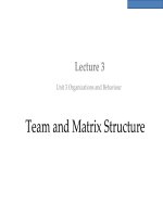 OB lecture 3   team and matrix structure