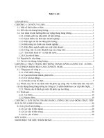 Xây dựng thang bảng lương cho công ty cổ phần bánh kẹo cao cấp hữu nghị