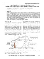 Hệ số rối của phương trình sutton