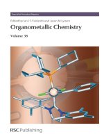 Organometallic chemistry volume38 