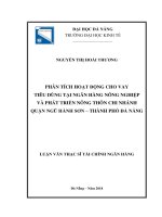Phân tích hoạt động cho vay tiêu dùng tại Ngân  hàng Nông nghiệp và Phát triển Nông thôn chi nhánh Quận Ngũ Hành Sơn –  Thành phố Đà Nẵng
