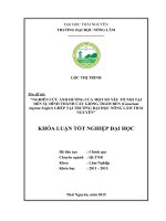Nghiên cứu ảnh hưởng của một số yếu tố nội tại đến sự hình thành cây giốngTrám Đen (Canarium nigrum Engler) ghép tại trường Đại Học Nông Lâm Thái Nguyên (Khóa luận tốt nghiệp)