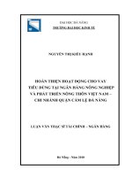 Hoàn thiện hoạt động cho vay tiêu dùng tại Ngân hàng Nông  nghiệp và Phát triển nông thôn Việt Nam – Chi nhánh Quận Cẩm Lệ  Đà Nẵng