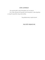 Phân tích các nhân tố ảnh hưởng đến mức độ công bố thông tin trong báo cáo thường niên của các ngân hàng thương mại cổ phẩn ở việt nam